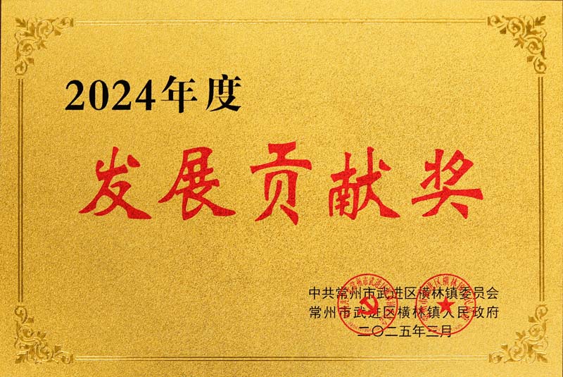 2024年度发展贡献奖